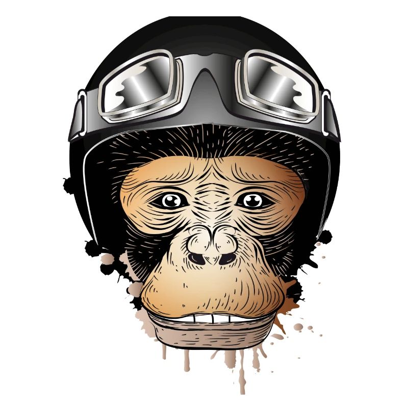 Monkey with retro motorcycle helmet and motorcycle goggles