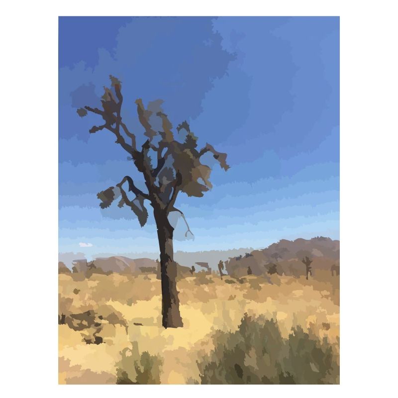 Joshua Tree
