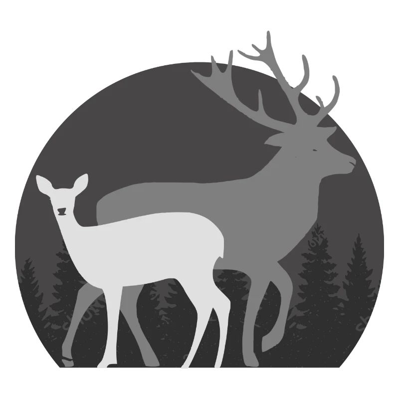 Chasse chasser chasseur de cerf biche chevreuil