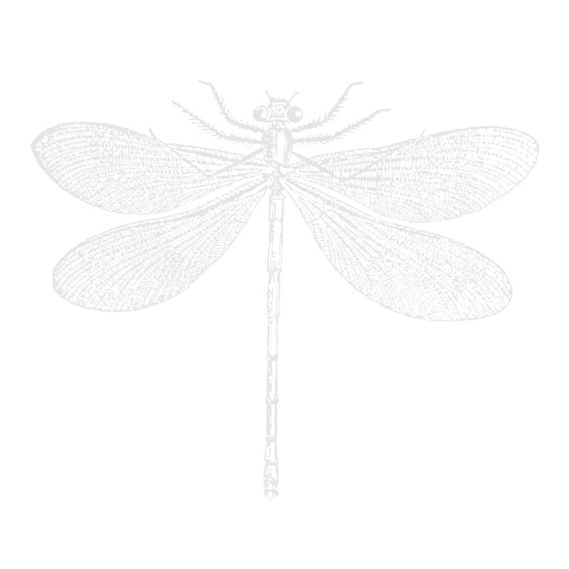 Libelle