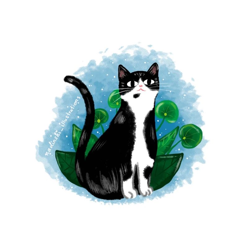 Chat dans la nature