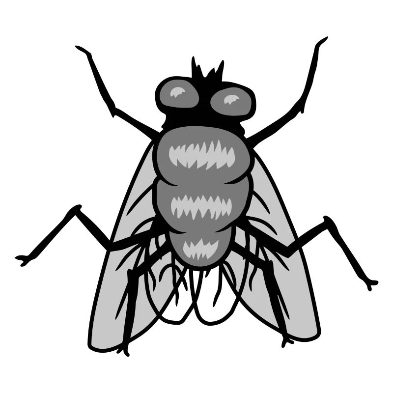 Conception de petits insectes mouches domestiques