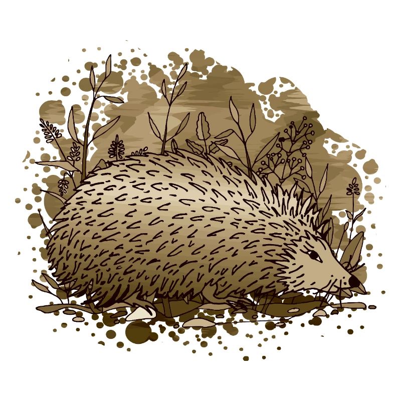 Hedgehog