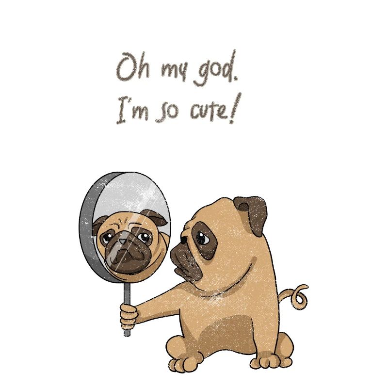Cute Pug