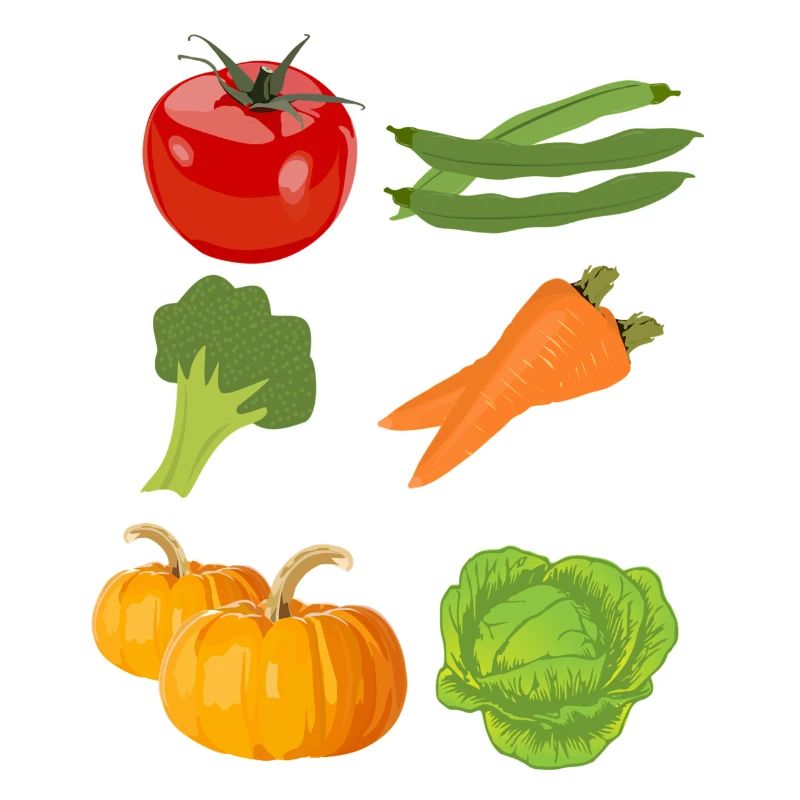 tomate tomates tomate légume vegetables7