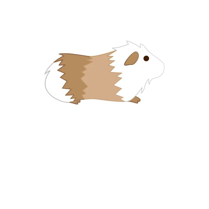 Cochon d'Inde - Cochon d'Inde - Amour