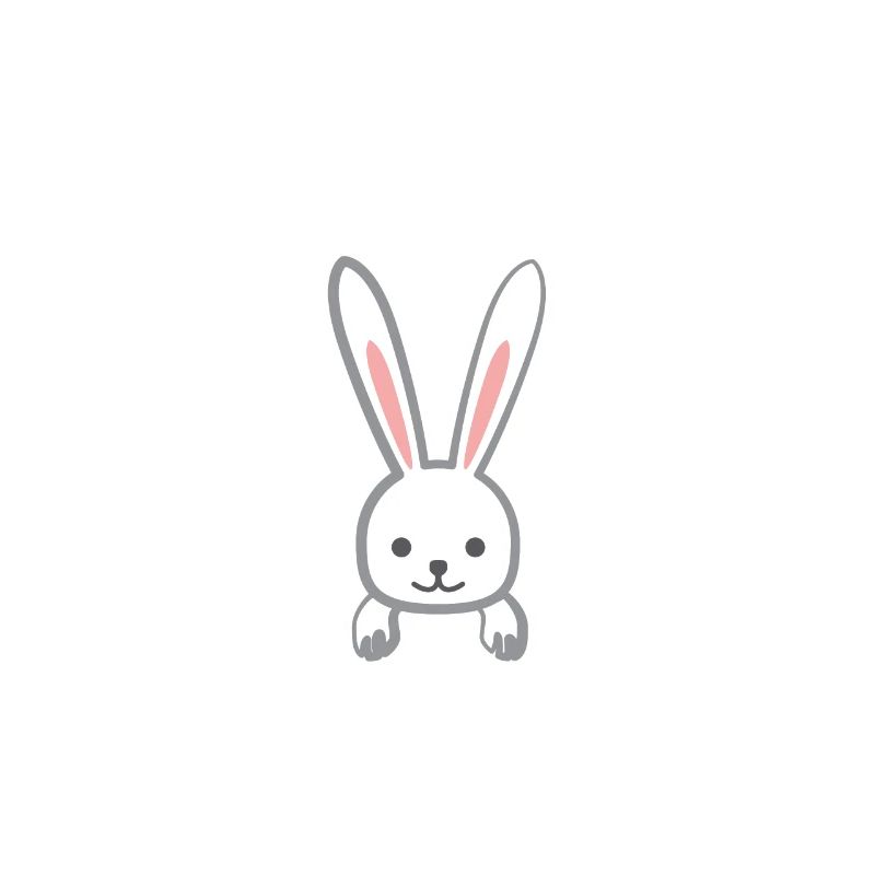 Rabbit - Rabbit - Rabbit owner - Rabbit Mama