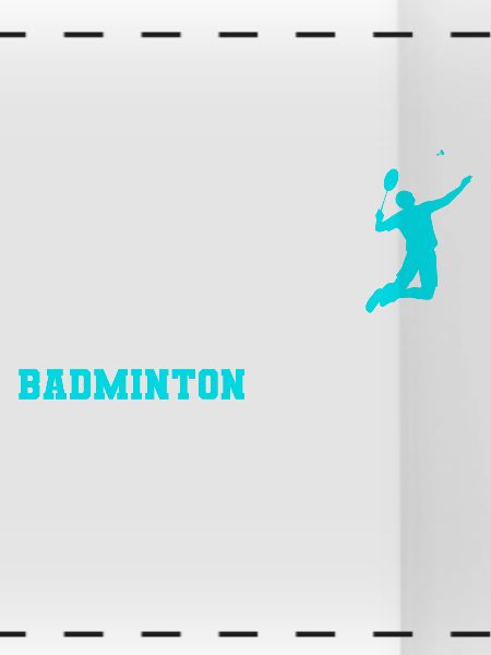 Badminton Evolution