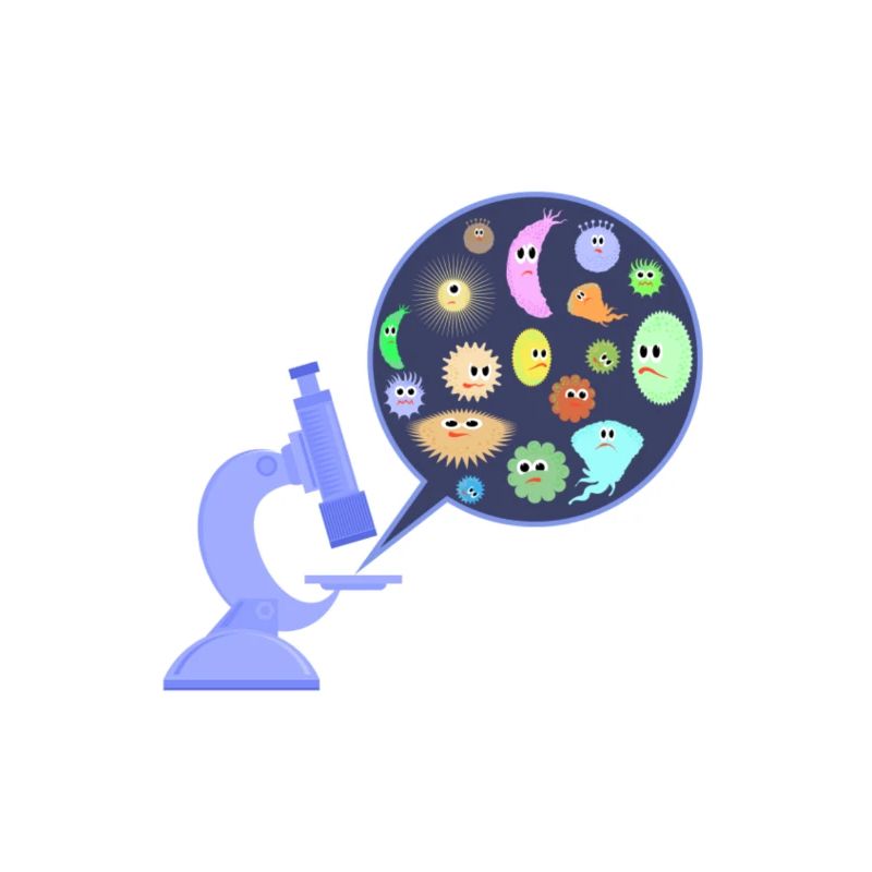 Germs under the microscope