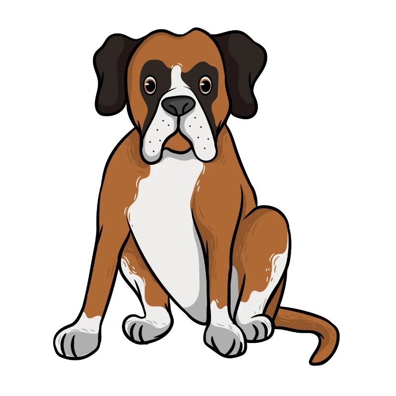 Deutscher Boxer
