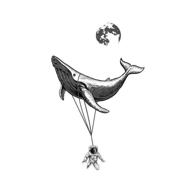 Mer zéro gravité