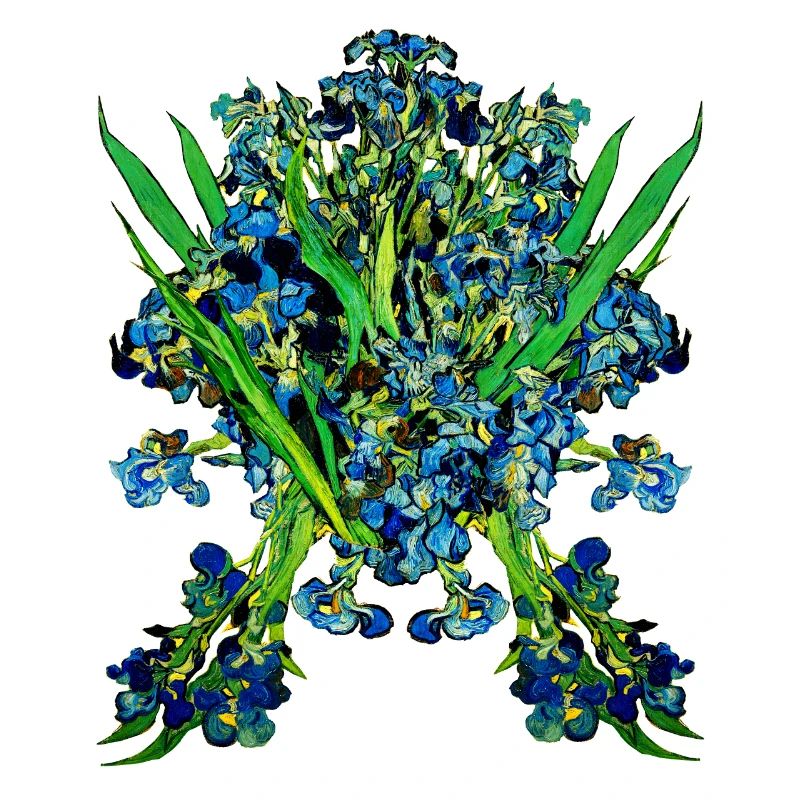 Vincent van Gogh Iris Iris | Jack Joblin
