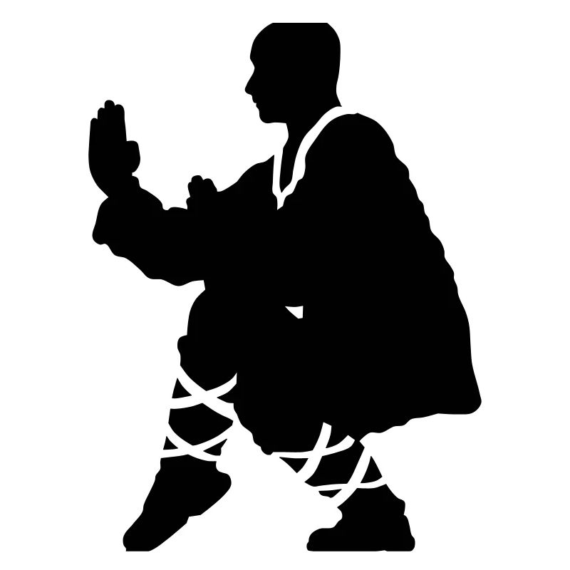 Kung fu Shaolin