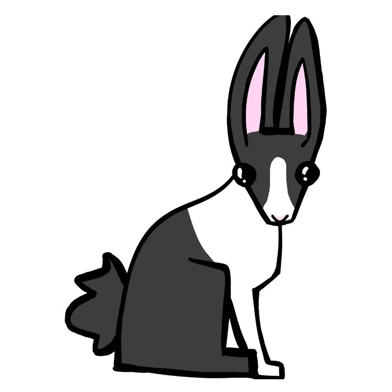 bunny