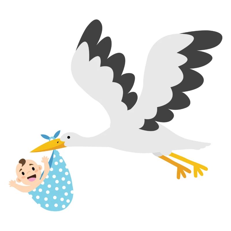Cigogne avec bébé