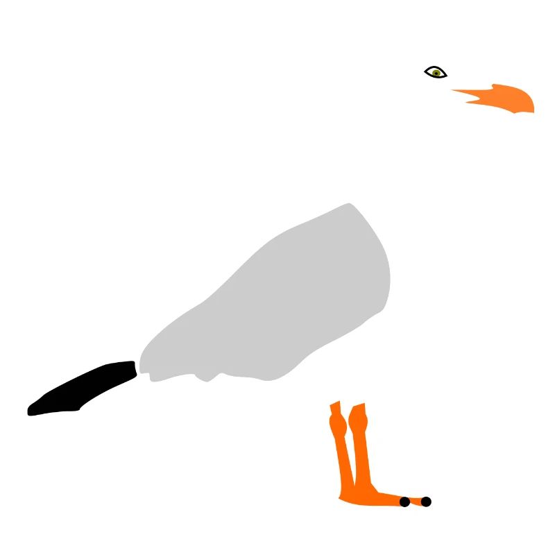 Möwe