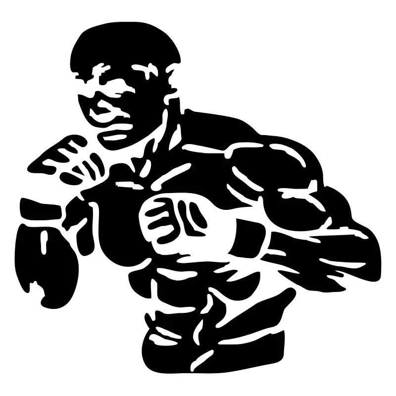 Fighter 2013