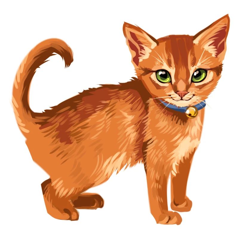 Firestar Firestar Rusty Sammy Red Cat Warrior