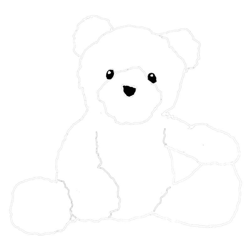 Teddy