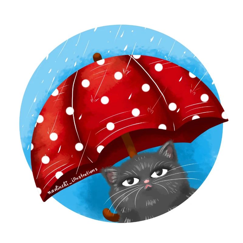 Chat de jour de pluie