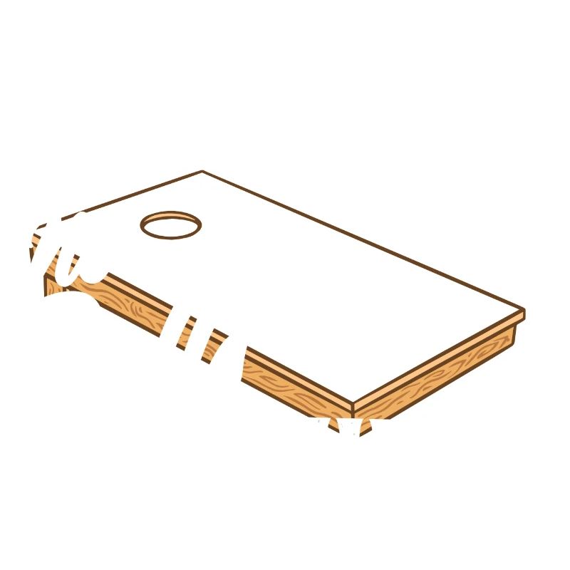 Cornhole No Balls Required Bean Bag Toss Player