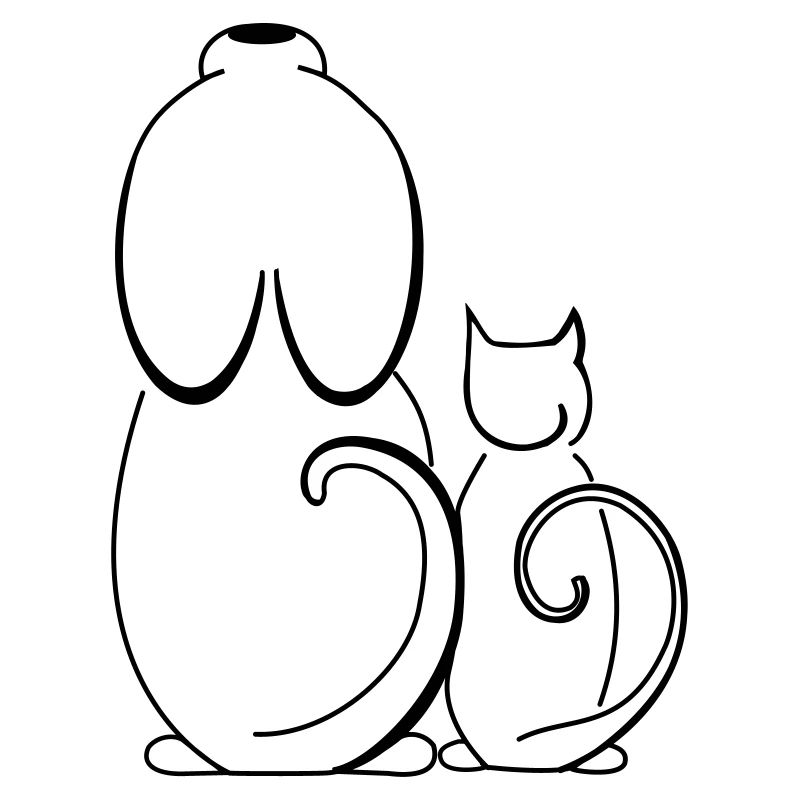 Chat et chien