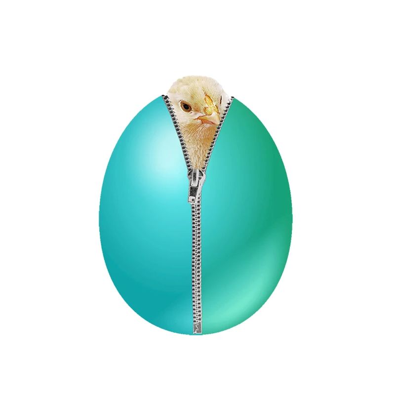 Chick zipper Easter egg gift