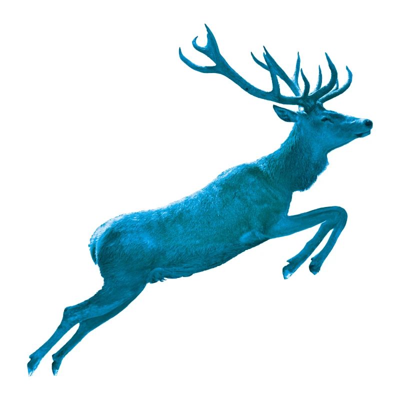 Deer Jumping blue