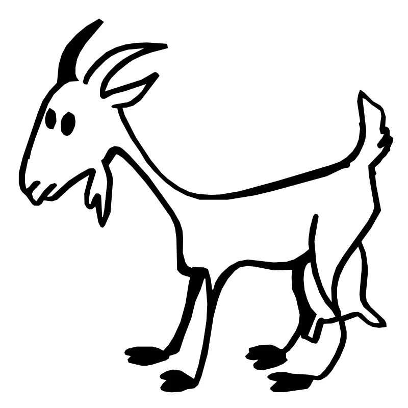 Goat kid