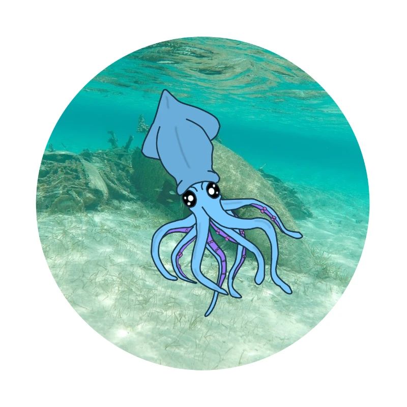 calamars sous l'eau