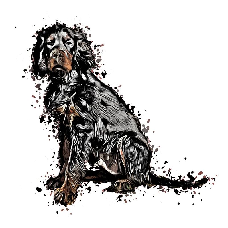 Gordon Setter