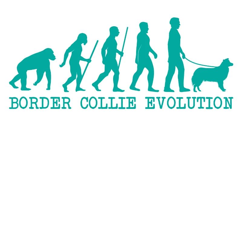 Border Collie Evolution