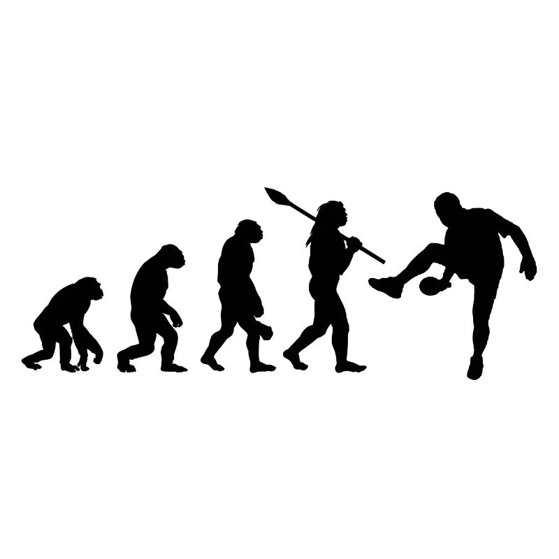 Ping-pong Evolution