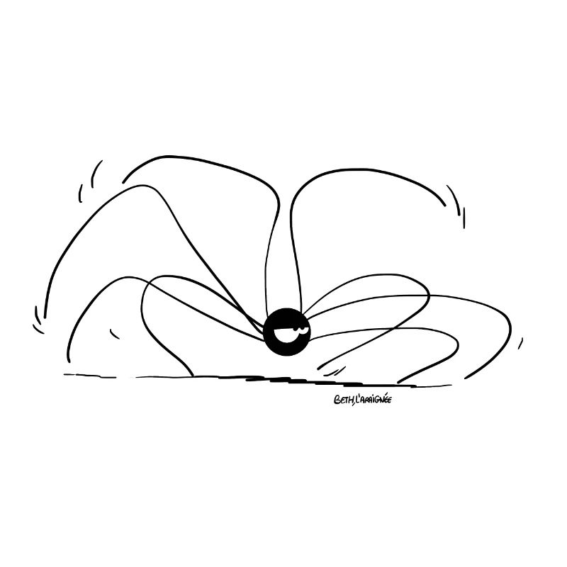 Beth the Spider - Small Body Large Paws