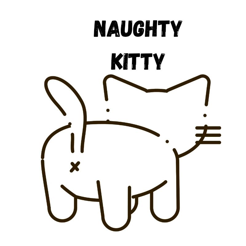NAUGHTY KITTY