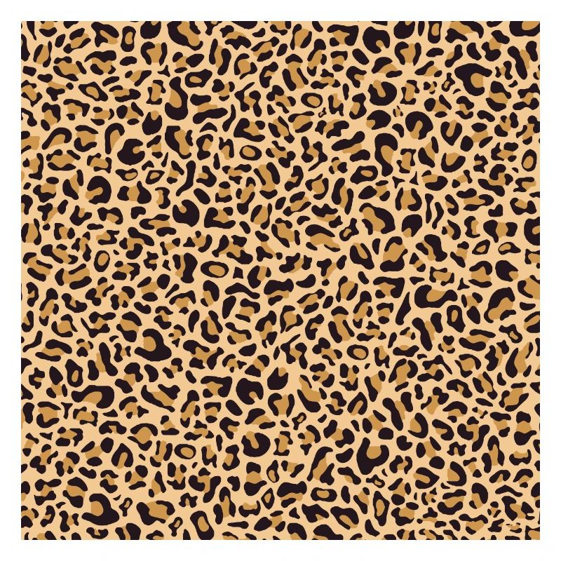 Leopard Pattern | Leopard Print | African Animal