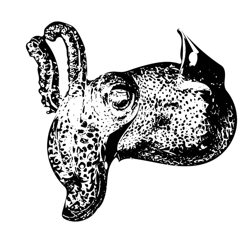 Vintage Cuttlefish