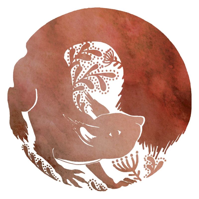 Wiewiórka - Eichhörnchen