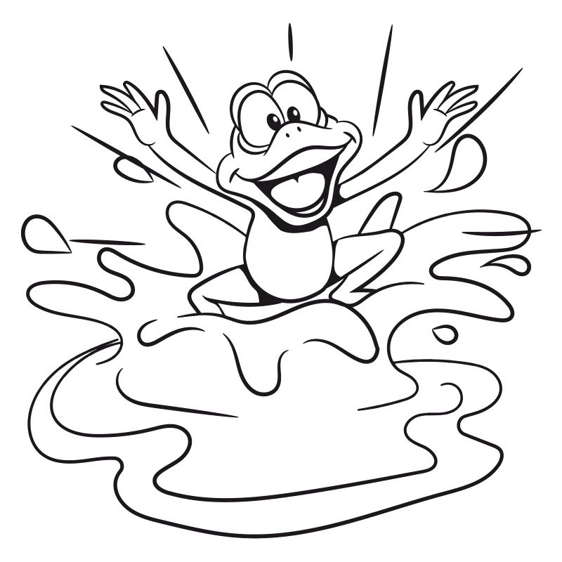 Frosch Wasser Teich