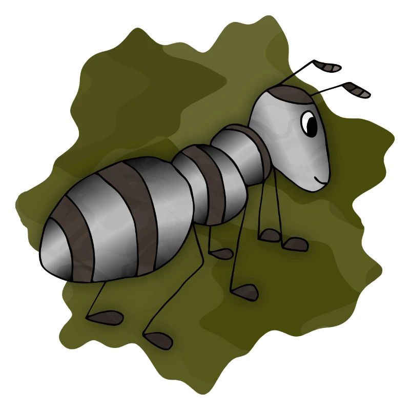 Ant