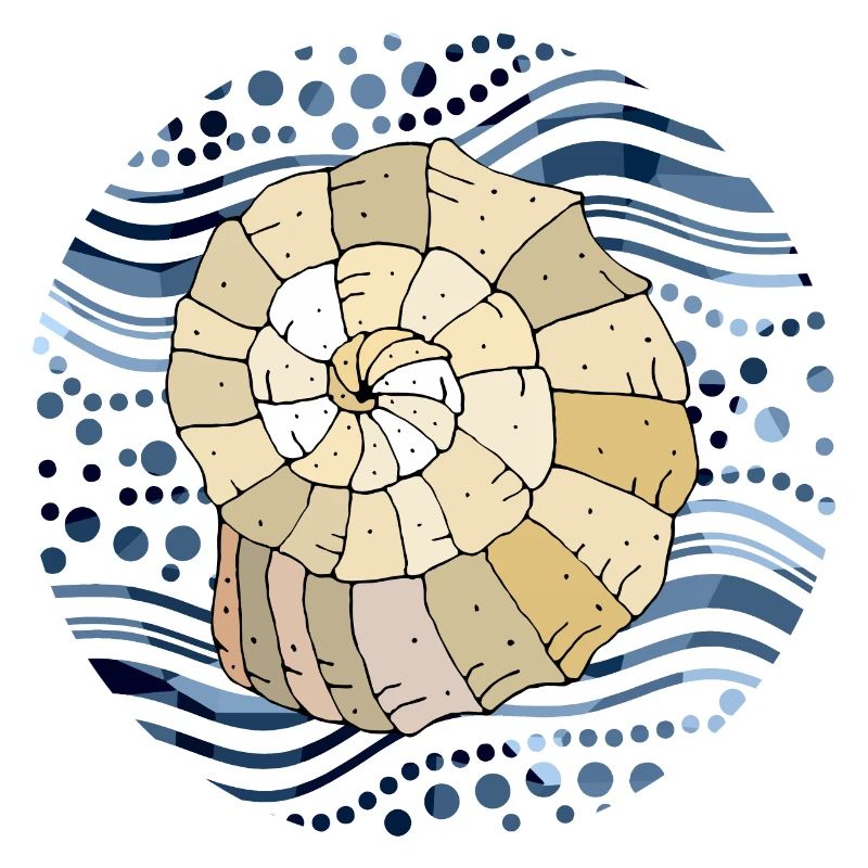 Shell