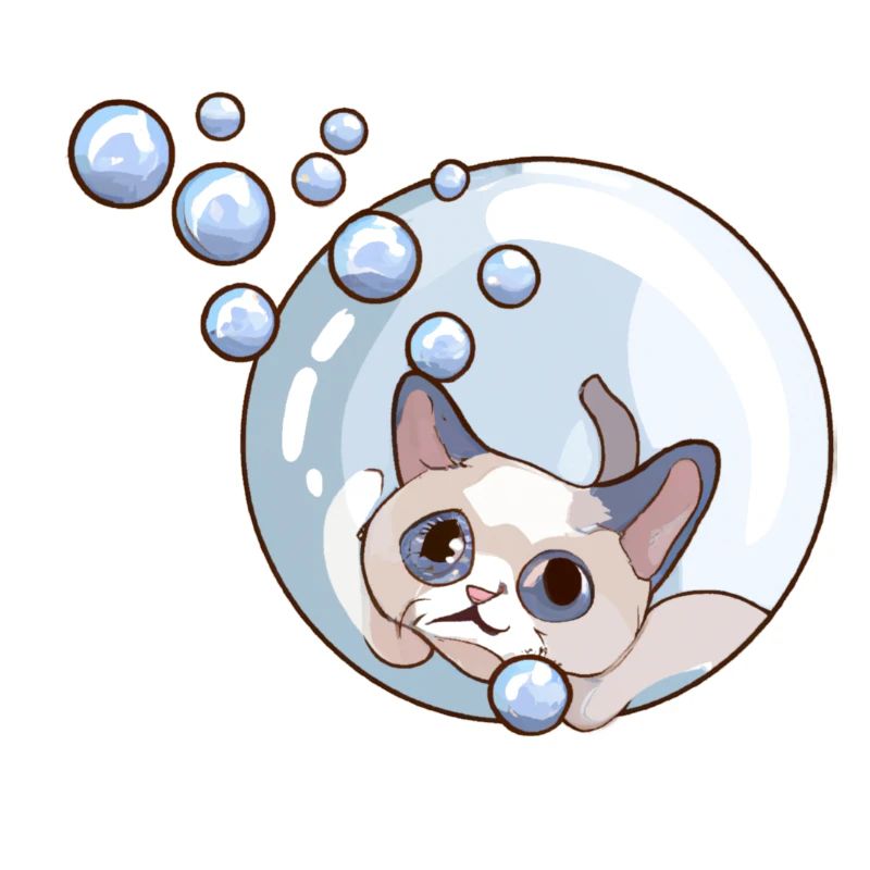 Soap Bubbles Cat
