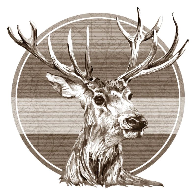Hirsch