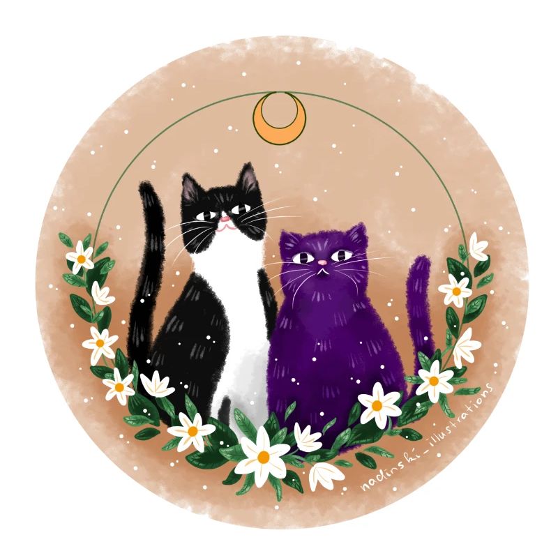 Deux chats