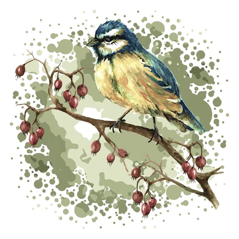 Bunter Vogel