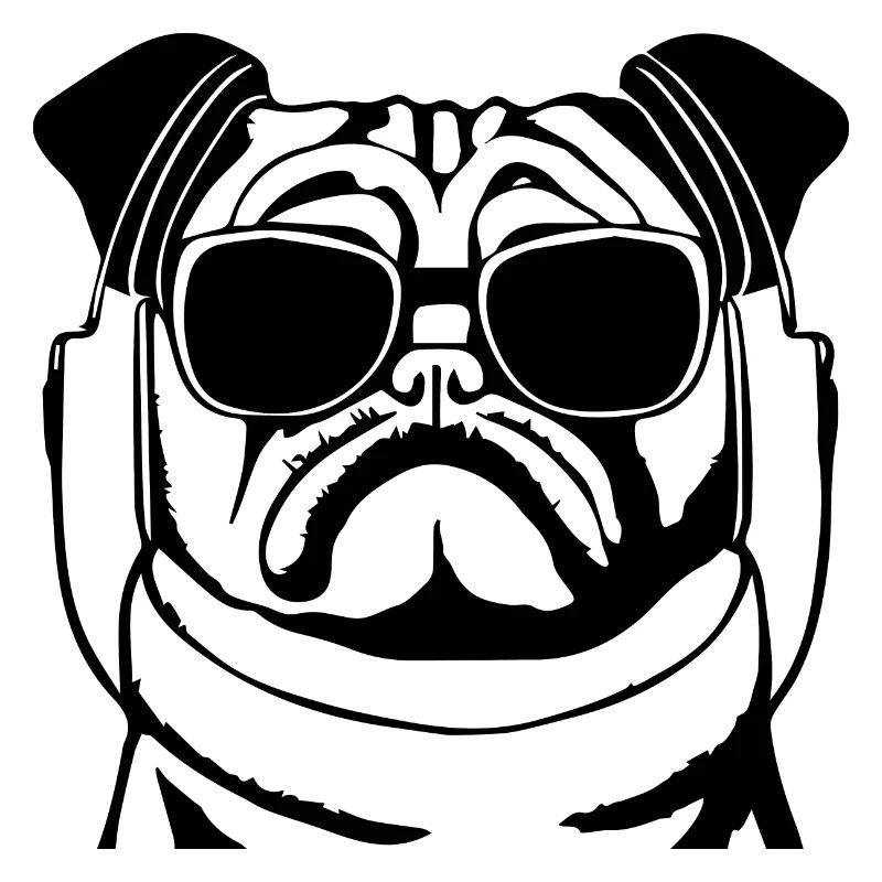 Pug puppy