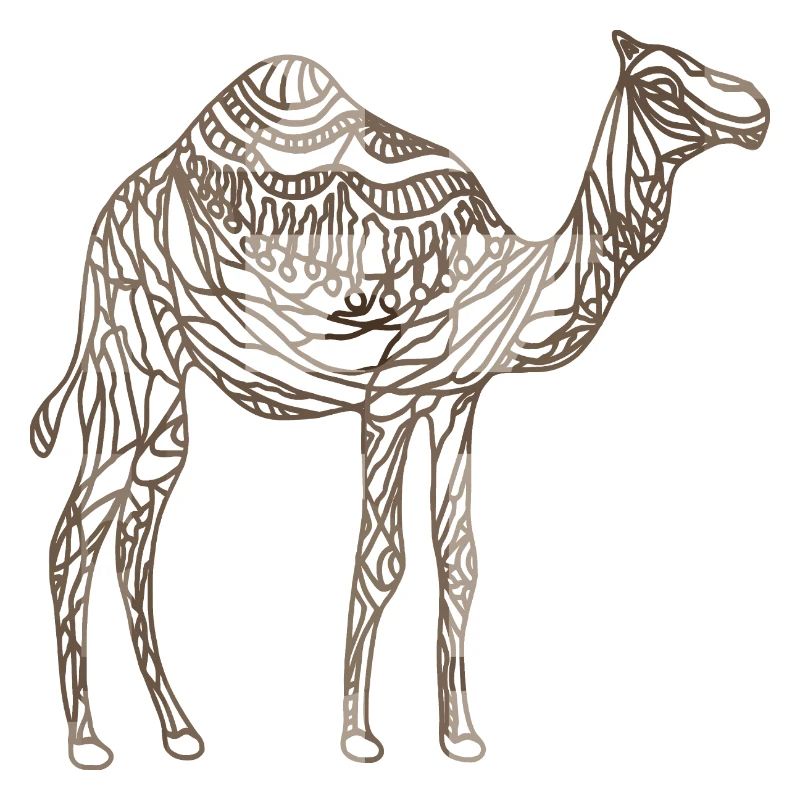Kamel