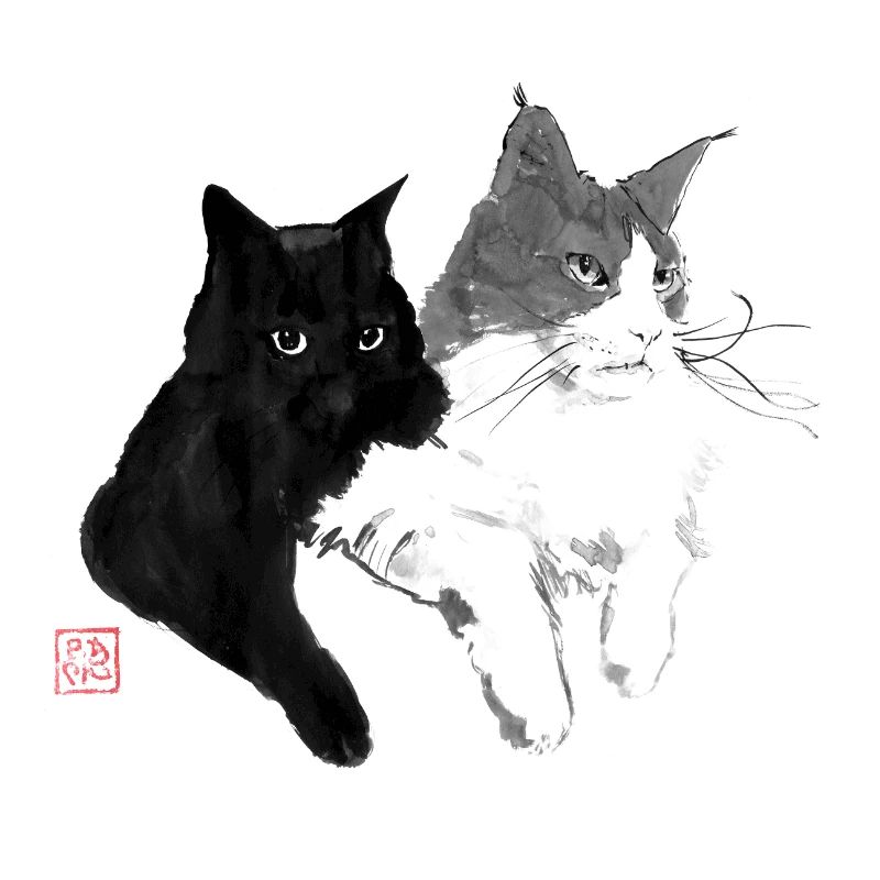 2 Katzen