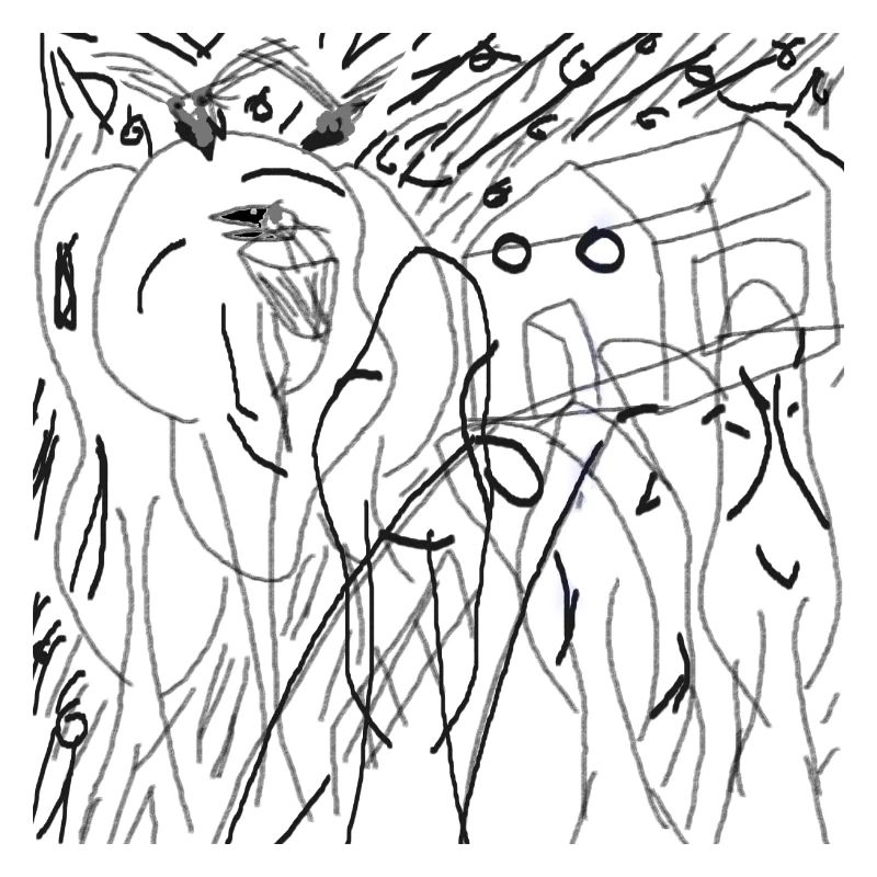Forêt animée transparente