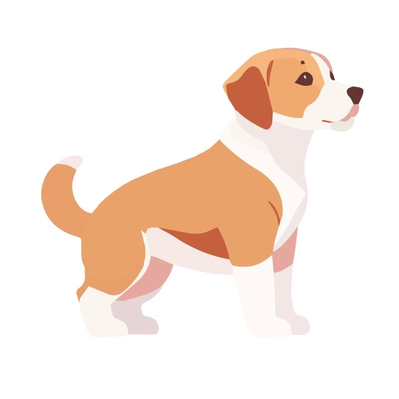 Labrador Welpe seitlich